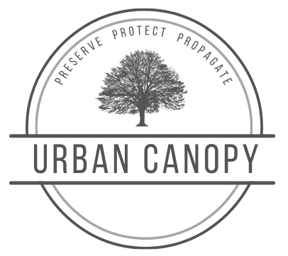 Urban Canopy